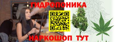 ECSTASY Комсомольск-на-Амуре