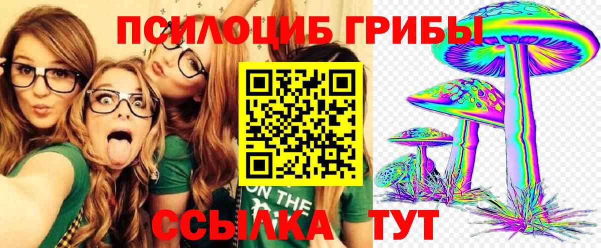 Котельники  Псилоцибиновые грибы GOLDEN TEACHER  Галлюциногенные грибы мицелий  Вход с VPN 
